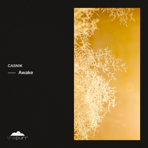 Casnik - Awake [PURR417]